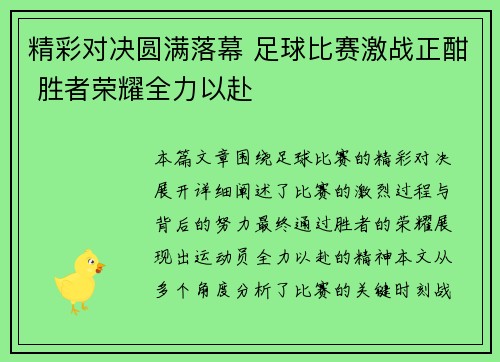 精彩对决圆满落幕 足球比赛激战正酣 胜者荣耀全力以赴