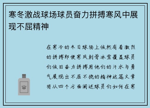 寒冬激战球场球员奋力拼搏寒风中展现不屈精神