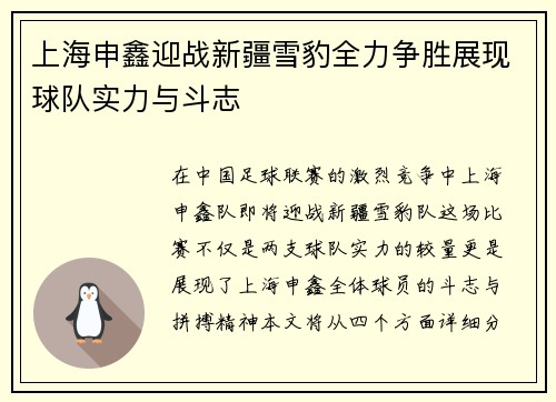 上海申鑫迎战新疆雪豹全力争胜展现球队实力与斗志