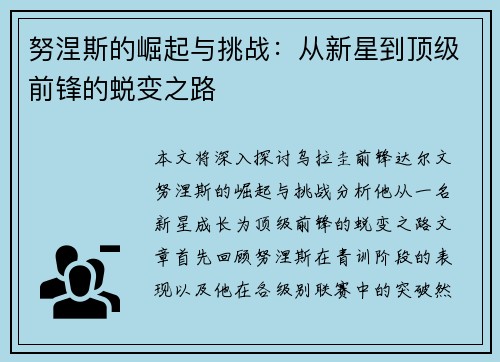 努涅斯的崛起与挑战：从新星到顶级前锋的蜕变之路