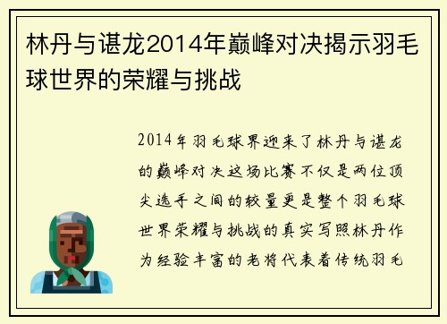林丹与谌龙2014年巅峰对决揭示羽毛球世界的荣耀与挑战
