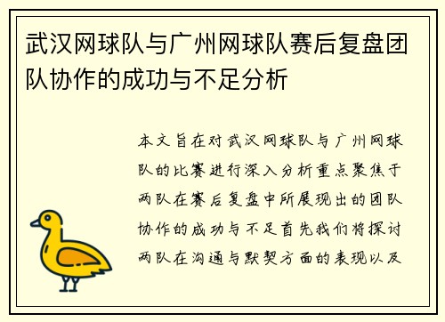 武汉网球队与广州网球队赛后复盘团队协作的成功与不足分析